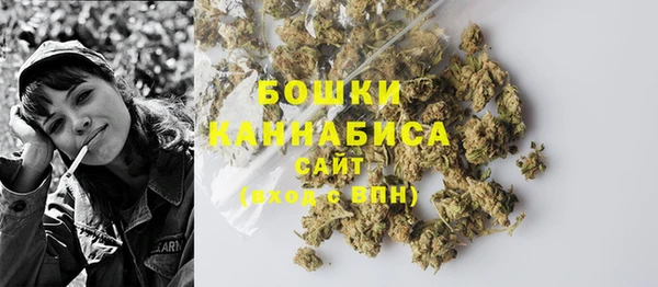mix Гусиноозёрск