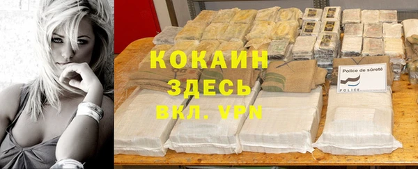 трава Гусев
