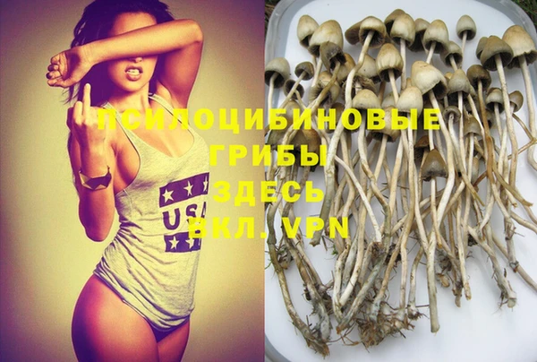 mix Гусиноозёрск