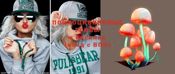 mix Гусиноозёрск