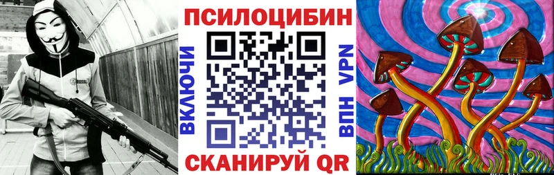 Галлюциногенные грибы Psilocybe  mega   Ивангород 